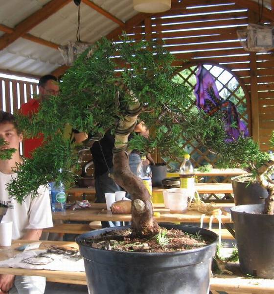 Marcin "Gohans" i MikoÂłaj "eoh" w tle