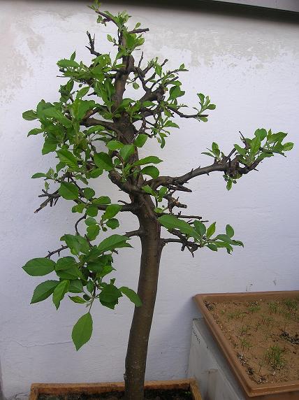 tak wyglÂądaÂła 29 kwietnia br.  :)