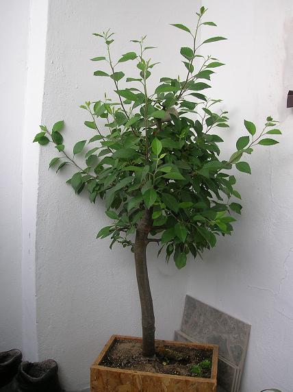 fota z dzisiaj 2007:06:01 17:20:16