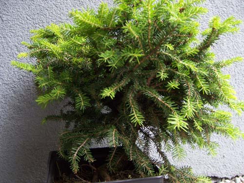 tak wyglÂądaÂło przed formowaniem...