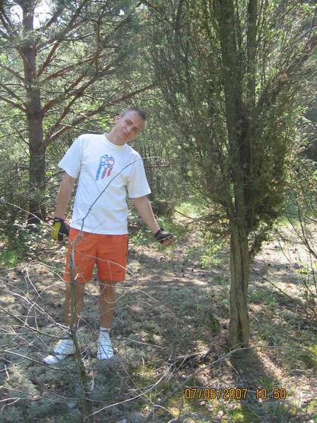 To po mojej lewej to teÂż pospolity - 3 pieĂąki przeplatajace siĂŞ. Nie wiem czy to nie zalicza siĂŞ juÂż do drzewa - wysokoÂśc to jakieÂś 6? 7 metrĂłw ?