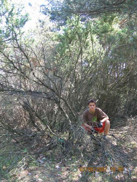 stary i wyniszczony jaÂłowiec - przed , za i obok Marcina