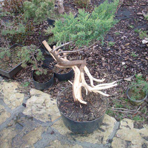 Po pierwszym dniu pracy