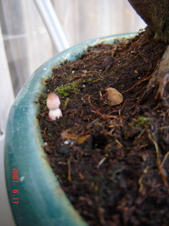 rano gdy go znalazÂłem