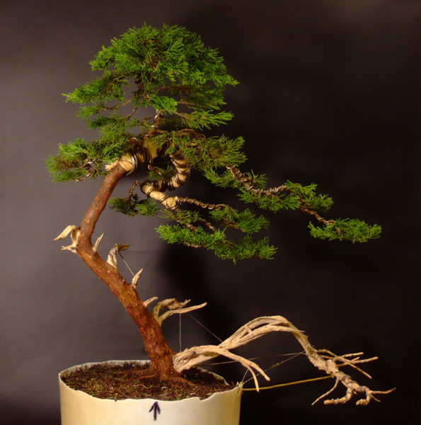 ... a to efekt koĂącowy pierwszego formowania. Jiny teÂż juÂż sÂą wstĂŞpnie uformowane, ale jeszcze wymagajÂą wiele pracy.