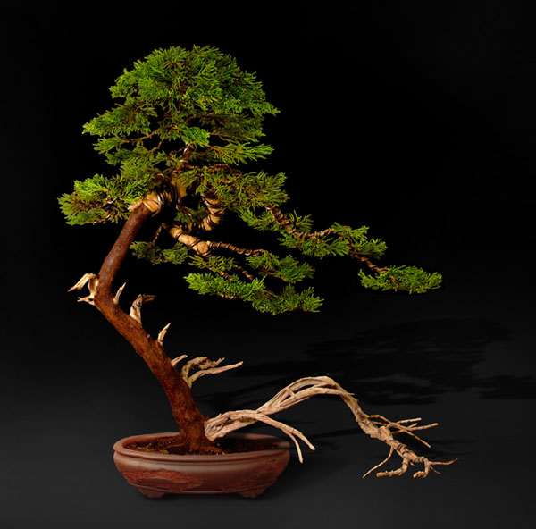 ... na koniec z przyszÂłÂą doniczkÂą. ChociaÂż co do tego to jeszcze nie jestem pewien. :)