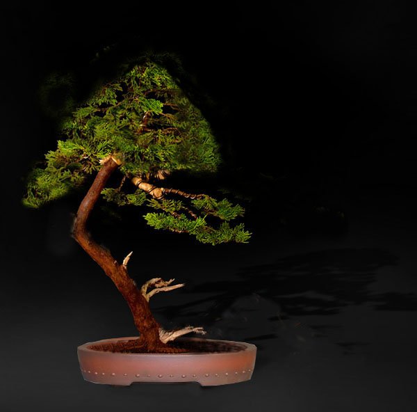 doniczka_106 kopia.jpg