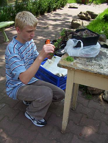 wszyscy dziaÂłali na swoimi cukiereczkmi