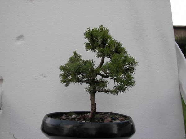 po pierwszym formowaniu