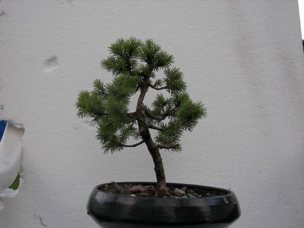 po pierwszym formowaniu