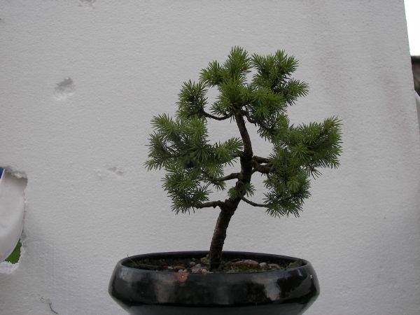 po pierwszym formowaniu