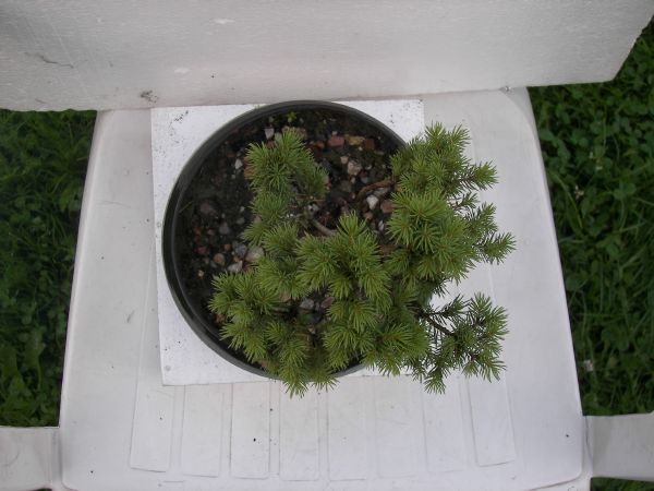 po pierwszym formowaniu