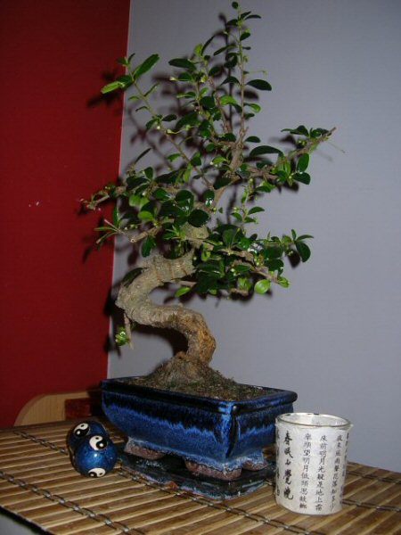 z przodu od boczku ;p