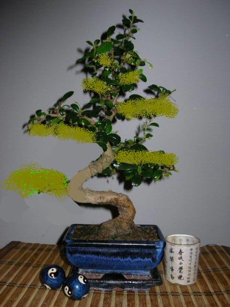 Tak moÂżnaby go na tÂą chwile uformowaĂŚ