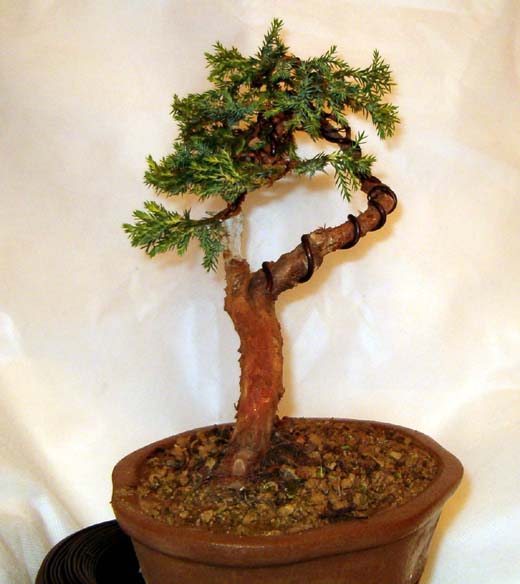 Widok z prawej strony