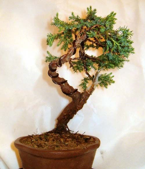 Widok z lewej strony