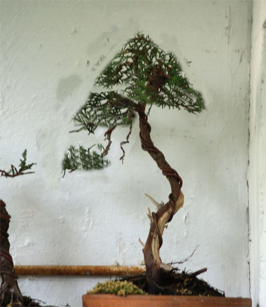 coÂś w tym guÂście?