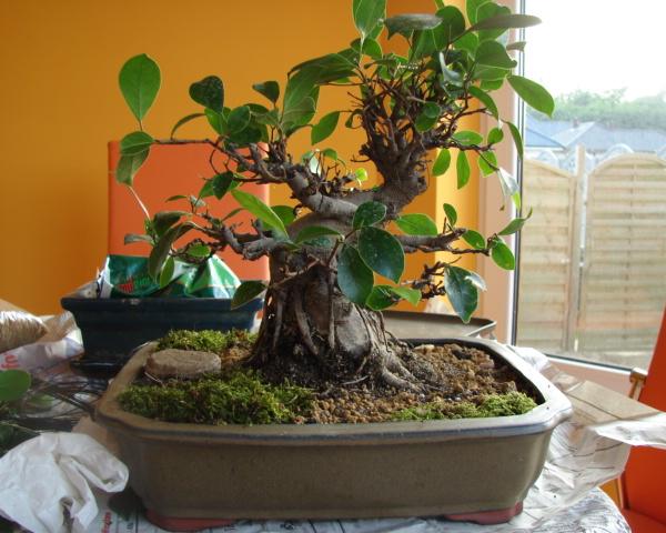 tak wyglada teraz, czekam na dalsze propozycje...