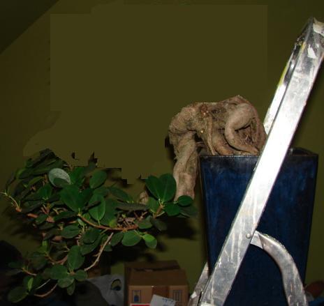 tak bym go obciÂąÂł a potem drutowaÂł to co zostaÂło...