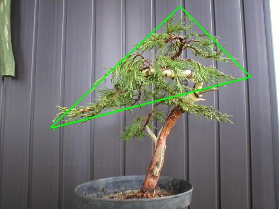 forma o jakiej myÂślĂŞ docelowo, ale nie wszystko od razu obciÂąĂŚ gaÂłÂązkĂŞ zawsze moÂżna.