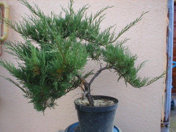 tak mniej wiĂŞcej wyglÂądaÂł przed pracÂą