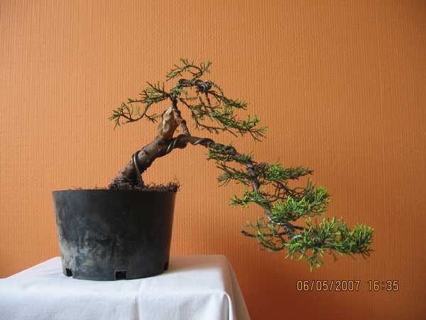 09 - kaskada moja mniej wiĂŞcej na chwile obecn&plusmn;.jpg