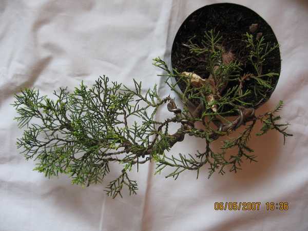 10 - kaskada widok z gĂłry.jpg