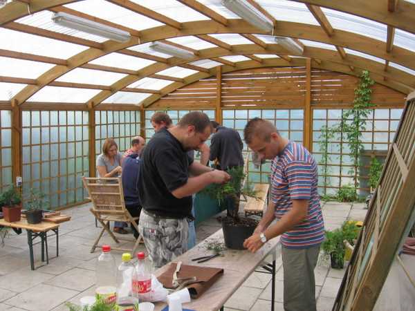 A to kolega z Warszawy, ktĂłry pracowaÂł nad wiekszÂą roÂślinÂą (to byÂły zaawansowane juÂż jego warsztaty) - bardzo miÂło sie pomagaÂło i rozmawiaÂło -a drzewko miodzio wyszÂło :)