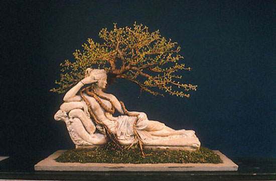 penelopelargeys0 copy.jpg