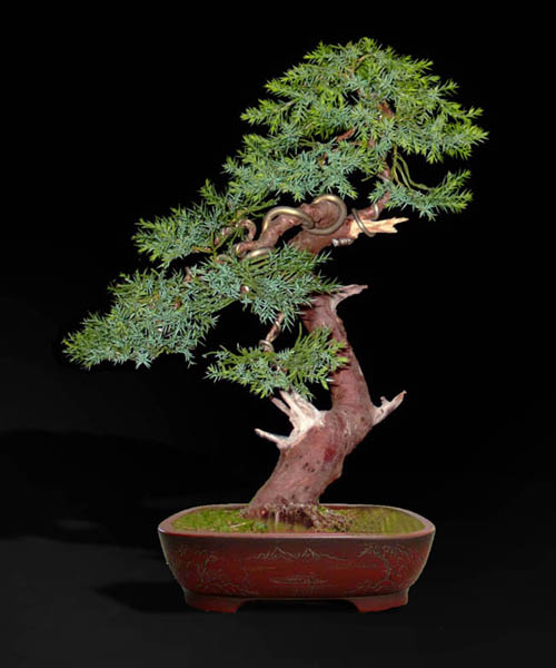 propozycja doniczki 3