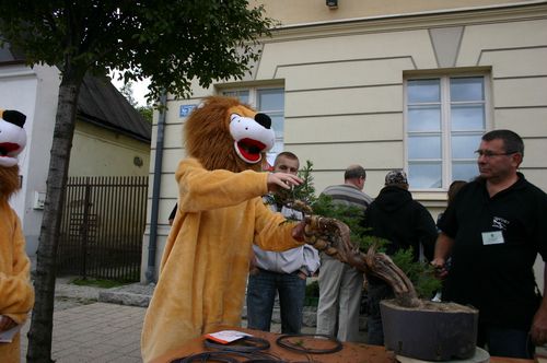 Lew chcÂący poformowaĂŚ pod okiem Mistrza.