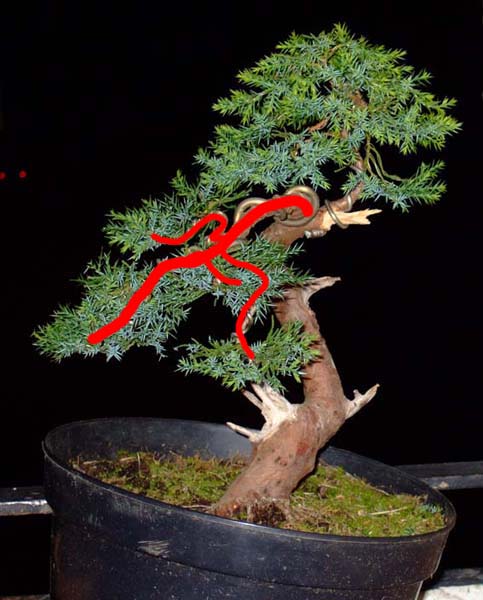 wrzesieĂą2 2007 forum2.jpg