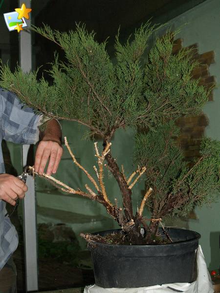 Grzegorz przyniĂłsÂł naprawdĂŞ obiecujÂący jaÂłowiec.