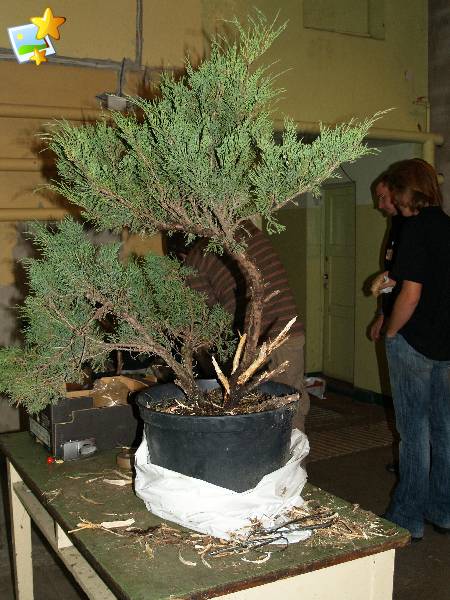 po wstĂŞpnych pracach