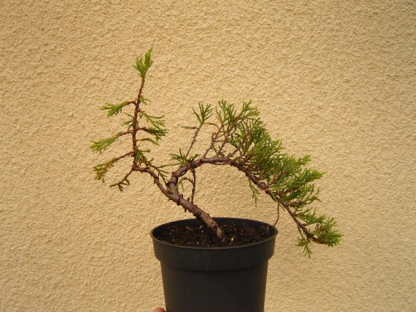 ...a tak wyglada po formowaniu