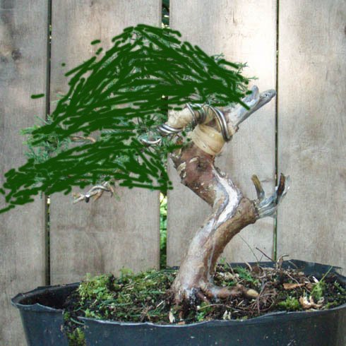 za rok (mam nadzieje)