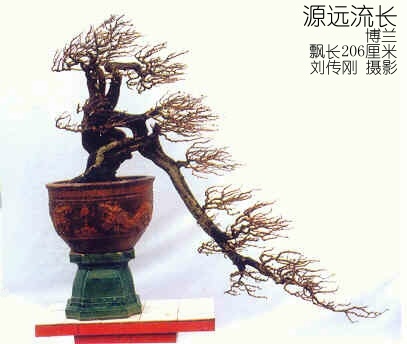 Moj ulubieniec... Hankengai vs Fukinagashi... Wpadl ktos na to????