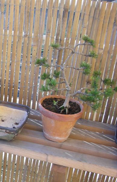 po zimie bez drutĂłw, ale tez i bez pomysÂłĂłw