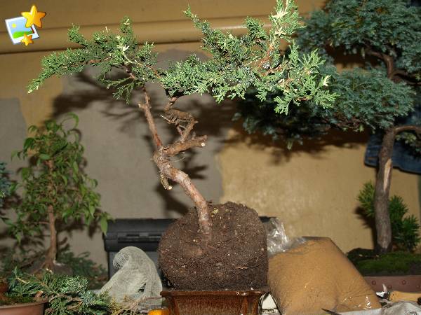 materiaÂł wyjÂściowy