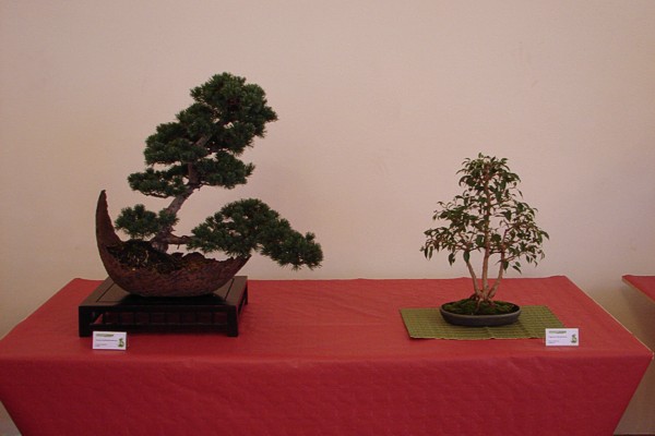 dary jesieni 2007 073.jpg