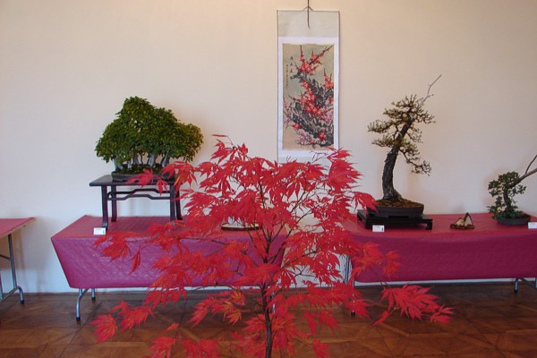 dary jesieni 2007 064.jpg