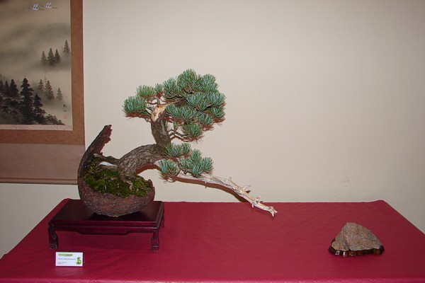 dary jesieni 2007 060.jpg