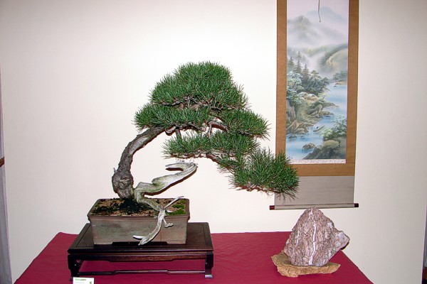 dary jesieni 2007 053.jpg