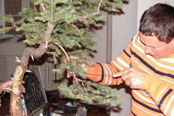 dary jesieni 2007 101.jpg