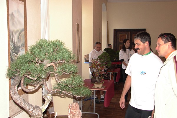 dary jesieni 2007 088.jpg