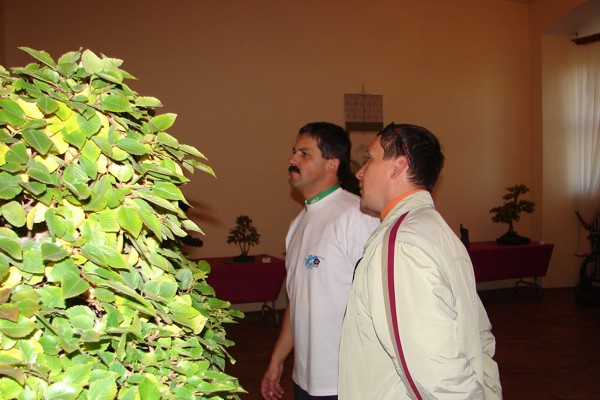 dary jesieni 2007 084.jpg