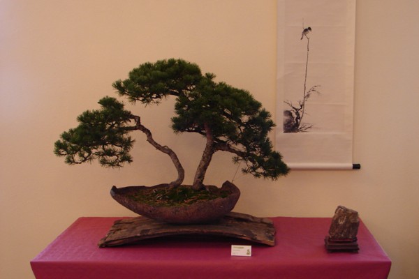 dary jesieni 2007 067.jpg