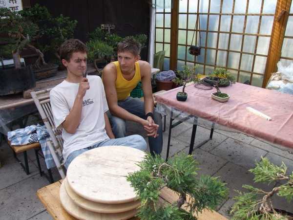 Marcin bijÂący sie cĂŞgami do drutu po czole jak sÂłyszy o tym co sie wyprawia na forum PrzyjaciĂłÂł