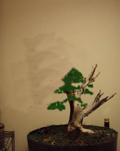 Najlepiej byÂło by tak !! (narazie niewiem jak)