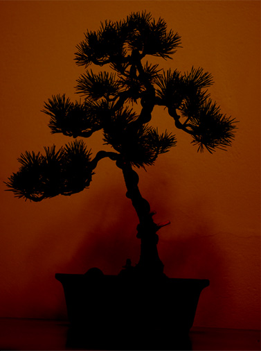 to taki gryps stylizacyjny xD